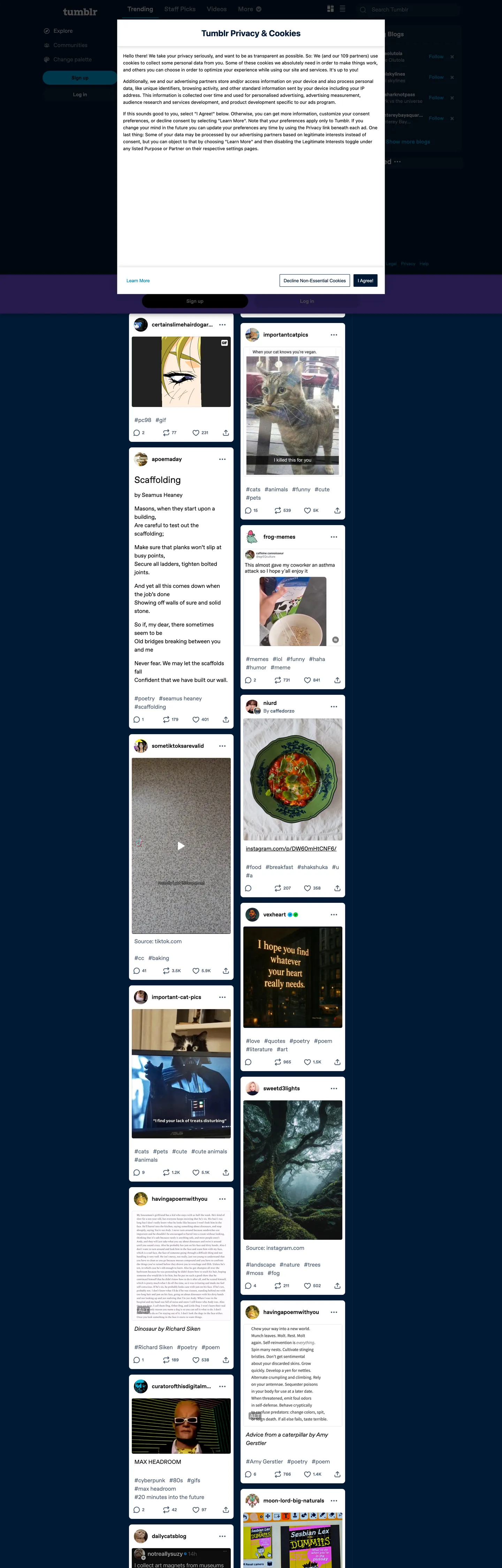 Screenshot of Tumblr's website at tumblr.com